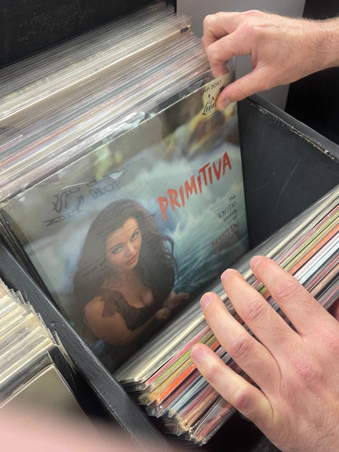 The Plural Of Vinyl Is Vinyl