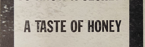 Introducing The Beatles