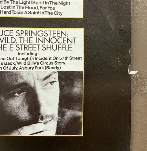 Wild, The Innocent & The E Street Shuffle