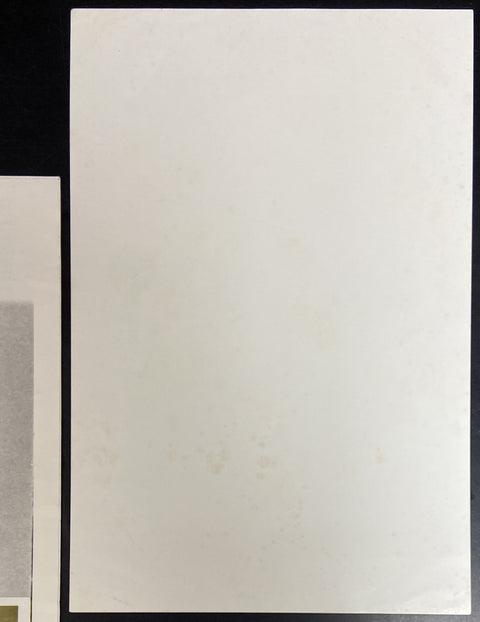 White Album
