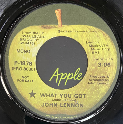 What You Got (Mono / Stereo)