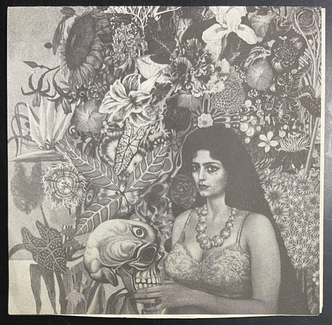 Dolphins In Disguise