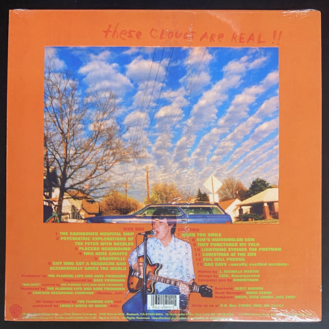 Clouds Taste Metallic