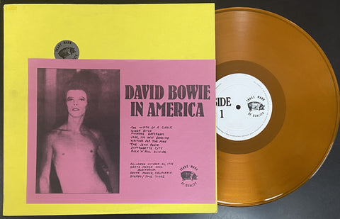 David Bowie In America