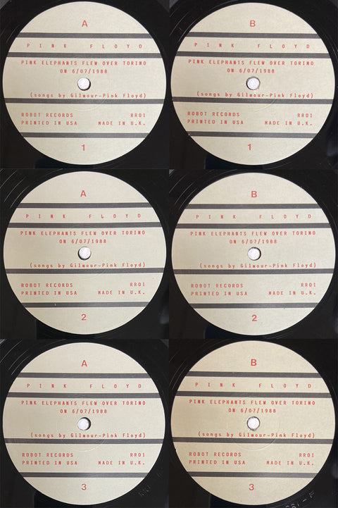 Pink Elephants Flew Over Torino On 6/07/1988