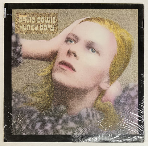 Hunky Dory