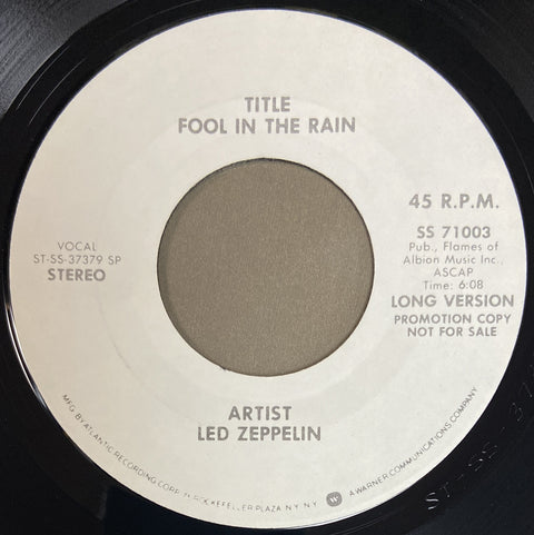 Fool In The Rain