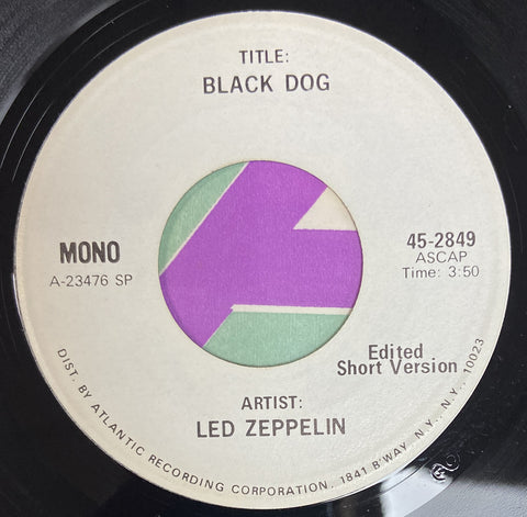 Black Dog