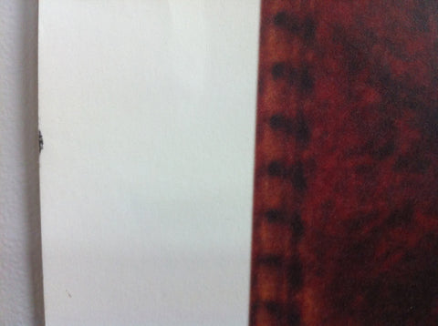 Turbulent Indigo