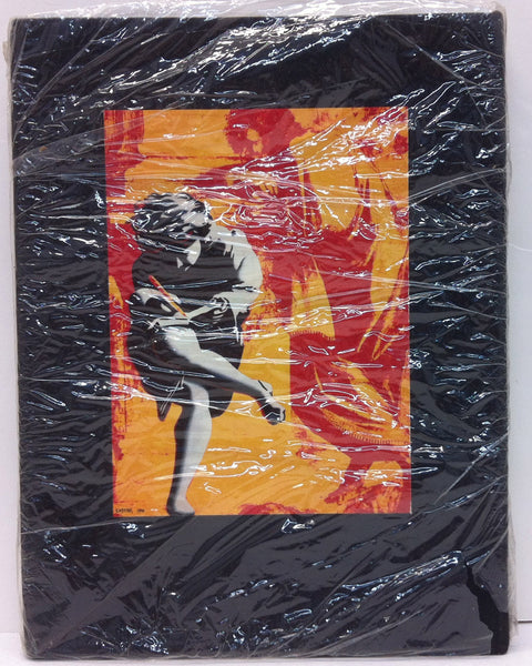 Use Your Illusion I & II